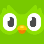 تحميل تطبيق Duolingo دولينجو